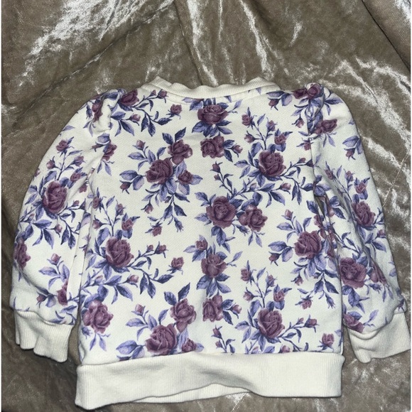 Janie and Jack Floral Infant Crewneck sweatshirt 🌵12-18 Months - Picture 4 of 4